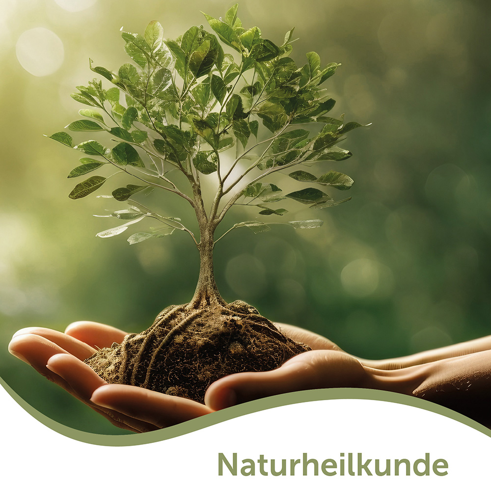 Warengruppe Naturheilkunde – natürliche Produkte bei Colloimed