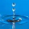 Zitat von Paracelsus: Der Körper heilt sich selbst mit dem richtigen Wasser, unterstützt durch Basenwasser