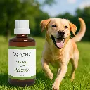 VitalMix Hundeglück - Die innovative Rezeptur für Hunde